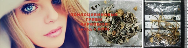 прущие грибы Алексеевка