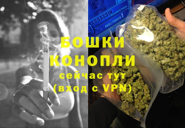 гидра Алексин