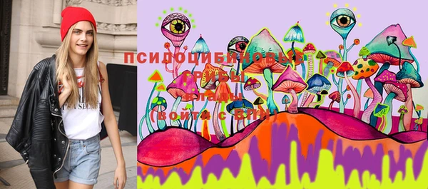 прущие грибы Алексеевка