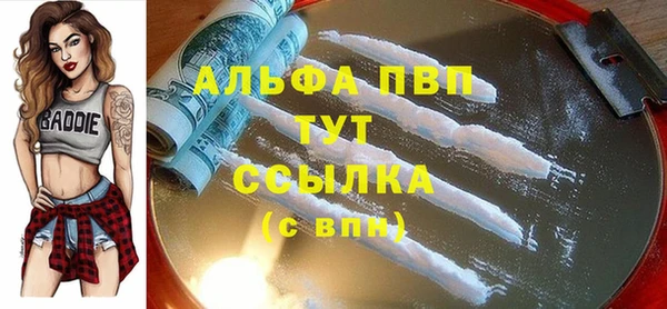 крисы Алзамай