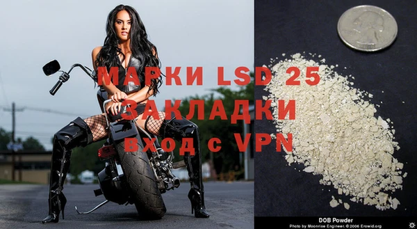 крисы Алзамай