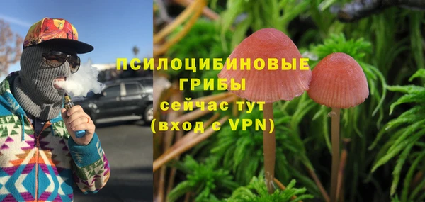крисы Алзамай