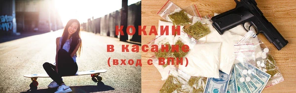 крисы Алзамай