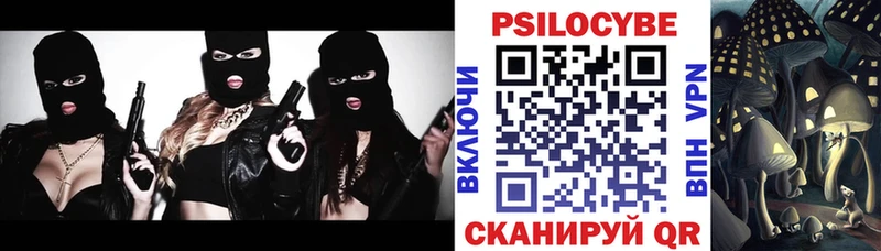 Псилоцибиновые грибы мицелий  Черноголовка 